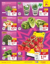 Kräuter im Netto Marken-Discount Prospekt in Salzgitter Aktueller Netto Marken-Discount Prospekt mit Kräuter, "Aktuelle Angebote", Seite 7