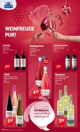 Ähnliche Freixenet-Sekt Angebote im Prospekt "Aktuelle Angebote" von Huster in Pirna Ähnliche Angebote wie Freixenet-Sekt im Prospekt "Aktuelle Angebote" auf Seite 4 von Huster in Pirna
