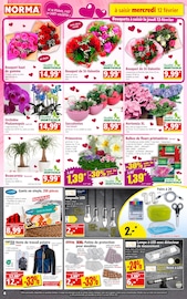 Catalogue Norma en cours à Colmar, "Votre Discounter Régional", Page 4