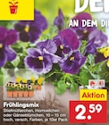 Frühlingsmix bei Netto Marken-Discount im Prospekt "" für 2,59 €