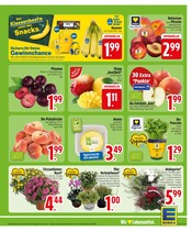 Äpfel im EDEKA Prospekt in Kaufbeuren Aktueller EDEKA Prospekt mit Äpfel, "Wir lieben Lebensmittel.", Seite 5