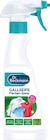 Gallseife Flecken-Spray von Dr. Beckmann im aktuellen Rossmann Prospekt