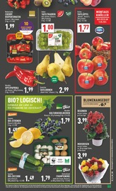 Aktueller Marktkauf Prospekt mit Gartenpflanzen, "Aktuelle Angebote", Seite 5