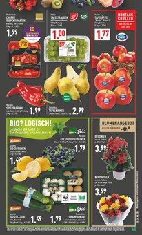 Gartenpflanzen im Marktkauf Prospekt "Aktuelle Angebote" mit 40 Seiten (Bielefeld)