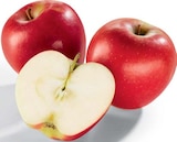Apfel Kanzi Angebote von Kanzi bei Netto Marken-Discount Bautzen für 3,99 €