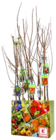Obstbaum-Stämmchen Angebote bei Kaufland Lingen für 9,99 €