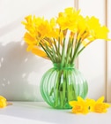 20 Jonquilles - Carlton en promo chez Super U Noisy-le-Grand à 4,99 €