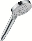 Douchette vernis blend vario eco 2 jets chromé - Mr.Bricolage à Créteil Douchette vernis blend vario eco 2 jets chromé en promo chez Mr.Bricolage Créteil à 17,90 €
