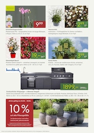 Pflanzen Angebot im aktuellen Pflanzen Kölle Prospekt auf Seite 2