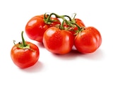 Aktuelles Strauchtomaten Angebot bei Lidl in Nürnberg