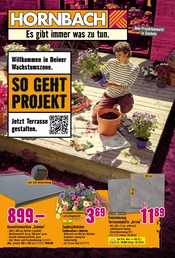 Aktueller Hornbach Baumarkt Prospekt in Gemmingen und Umgebung, "Willkommen in Deiner Wachstumszone." mit 30 Seiten, 10.04.2024 - 08.05.2024