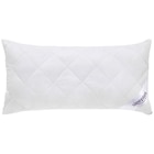 KOPFKISSEN 40/80 cm Oviedo Polyester im Angebot bei XXXLutz in Essen KOPFKISSEN 40/80 cm Oviedo Polyester Angebote von Sleeptex bei XXXLutz Essen für 11,99 €