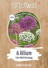 Krokusse im Angebot bei Rossmann in Menden Krokusse Angebote von Gartenwelt bei Rossmann Menden für 0,99 €