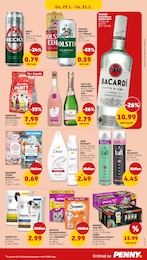 Penny Sheba im Prospekt 