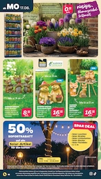 Drachen Angebot & Preis im aktuellen Netto mit dem Scottie Prospekt Drachen Angebot im aktuellen Netto mit dem Scottie Prospekt auf Seite 18