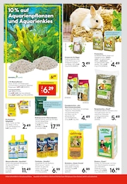 Heu Angebot im aktuellen Hellweg Prospekt auf Seite 15