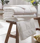 Aktuelles Sommerdecke oder Kopfkissen Angebot bei Zurbrüggen in Paderborn ab 34,99 €