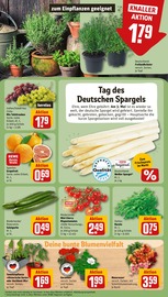 Ähnliche Angebote wie Tulpen im Prospekt "Dein Markt" auf Seite 7 von REWE in Bamberg