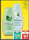 EDEKA Titz - Shampoo oder Spülung Angebot im Prospekt Shampoo oder Spülung bei EDEKA im Titz Prospekt für 1,39 €