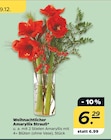 Aktuelles Weihnachtlicher Amaryllis Strauß Angebot bei Netto mit dem Scottie in Dresden ab 6,29 €