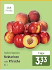 famila Nordost Nienburg (Weser) Prospekt mit  im Angebot für 3,33 €