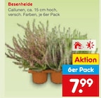 Besenheide im Angebot bei Netto Marken-Discount in Iserlohn Besenheide Angebote bei Netto Marken-Discount Iserlohn für 7,99 €