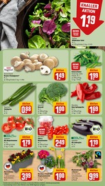 Pflanzen im REWE Prospekt in Konstanz Aktueller REWE Prospekt mit Pflanzen, "Dein Markt", Seite 7