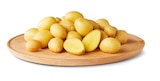 Speisekartoffeln bei Penny im Luhden Prospekt für 1,49 €