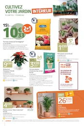 Prix et réduction Décoration Extérieure dans le prospectus Jardiland en cours Offre Décoration Extérieure dans le catalogue Jardiland du moment à la page 6
