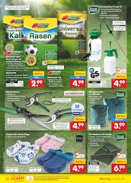 Partyzelt Angebot im aktuellen Netto Marken-Discount Prospekt auf Seite 38