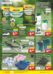 Ähnliches Angebot bei Netto Marken-Discount in Prospekt "Aktuelle Angebote" gefunden auf Seite 38