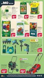 Blumenerde Angebot im aktuellen Netto mit dem Scottie Prospekt auf Seite 20