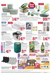 Aktueller EDEKA Prospekt mit Kleidung, "Aktuelle Angebote", Seite 33