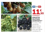 Arbustes fruitiers grimpants dans le catalogue Hyper U