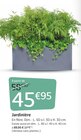 Promo Jardinière à 45,95 € dans le catalogue Jardiland "Mon jardin d'été"