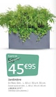 Jardiland - Jardinière : offre du catalogue Promo Jardinière à 45,95 € dans le catalogue Jardiland "Mon jardin d'été"