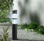 Lampe de jardin solaire à LED - LIVARNO HOME en promo chez Lidl Palaiseau à 14,99 €