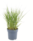toom Baumarkt Marl Prospekt mit  im Angebot für 19,99 €