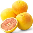 Penny-Markt - Grapefruit Angebot im Prospekt Grapefruit bei Penny-Markt im Prospekt "" für 0,79 €