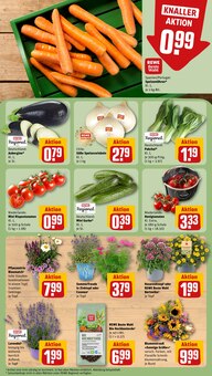 Blumen im aktuellen REWE Prospekt (Hamm) Blumen im REWE Prospekt "Dein Markt" mit 30 Seiten (Hamm)