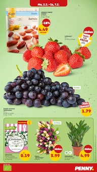 Gemüse im Penny Prospekt "Wer günstig will, muss Penny." mit 44 Seiten (Hamburg)