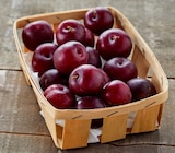 Netto Les Pennes-Mirabeau - Promo PRUNE JAUNE ET/OU ROUGE Promo PRUNE JAUNE ET/OU ROUGE à 2,19 € dans le catalogue Netto à Les Pennes-Mirabeau