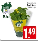 EDEKA Bad Iburg - Basilikum Angebot im Prospekt Basilikum bei EDEKA im Bad Iburg Prospekt für 1,49 €