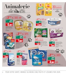 Offre Croquettes Chien dans le catalogue Supermarchés Match du moment à la page 22
