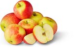 Deutsche Bio-Äpfel Angebote von Naturgut bei Penny Pinneberg für 2,79 €