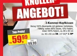 Aktuelle Kopfkissen Angebote bei Witthus Heimtex-Fachmarkt GmbH in Oldenburg Aktuelles 3-Kammer-Kopfkissen ca. 80 x 80 cm Angebot bei Witthus Heimtex-Fachmarkt GmbH in Oldenburg ab 29,99 €