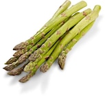 Aktuelle Spargel Angebote bei Netto Marken-Discount in Düsseldorf Aktuelles Spargel grün Angebot bei Netto Marken-Discount in Düsseldorf ab 3,99 €