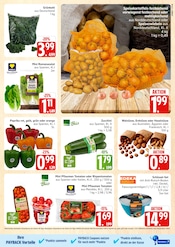 Aktueller Marktkauf Prospekt mit Tomaten, "Top Angebote", Seite 5