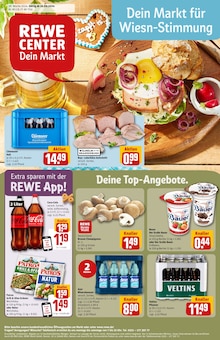 Aktueller REWE Prospekt für Alzenau mit  Seiten