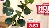Vase Angebote bei Woolworth Gladbeck für 3,50 €